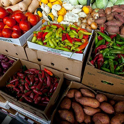 安卓Clash代理订阅全解析：免费与付费URL的真相与高效管理指南